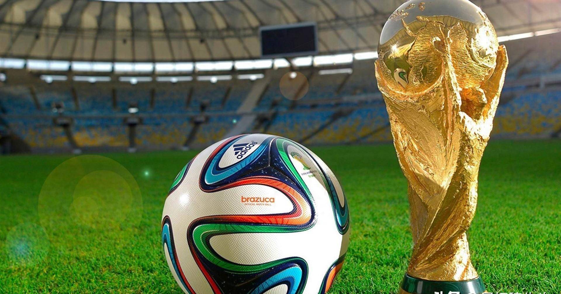 反而增添了 反而增添了