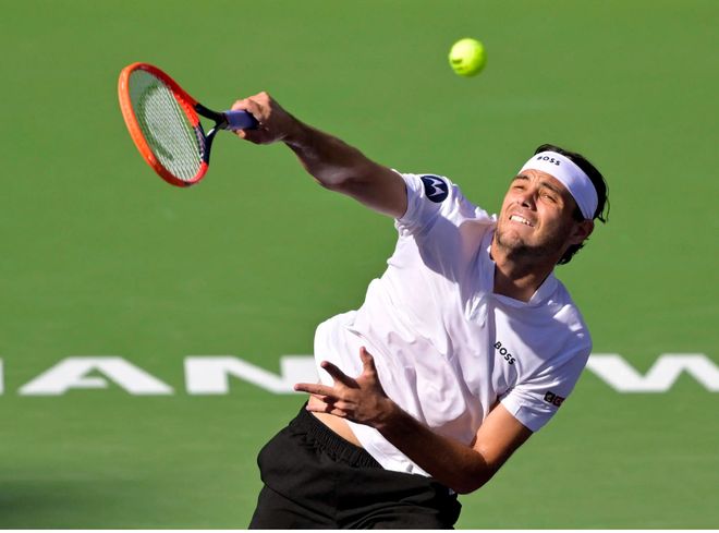 不仅提升了 不仅提升了